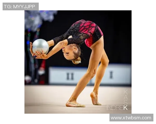 拉普拉塔体操与坦的较量探秘体操艺术的魅力与挑战